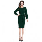 Women's Knitting stretchable Solid Round Neck Full Sleeve Dress (Green)