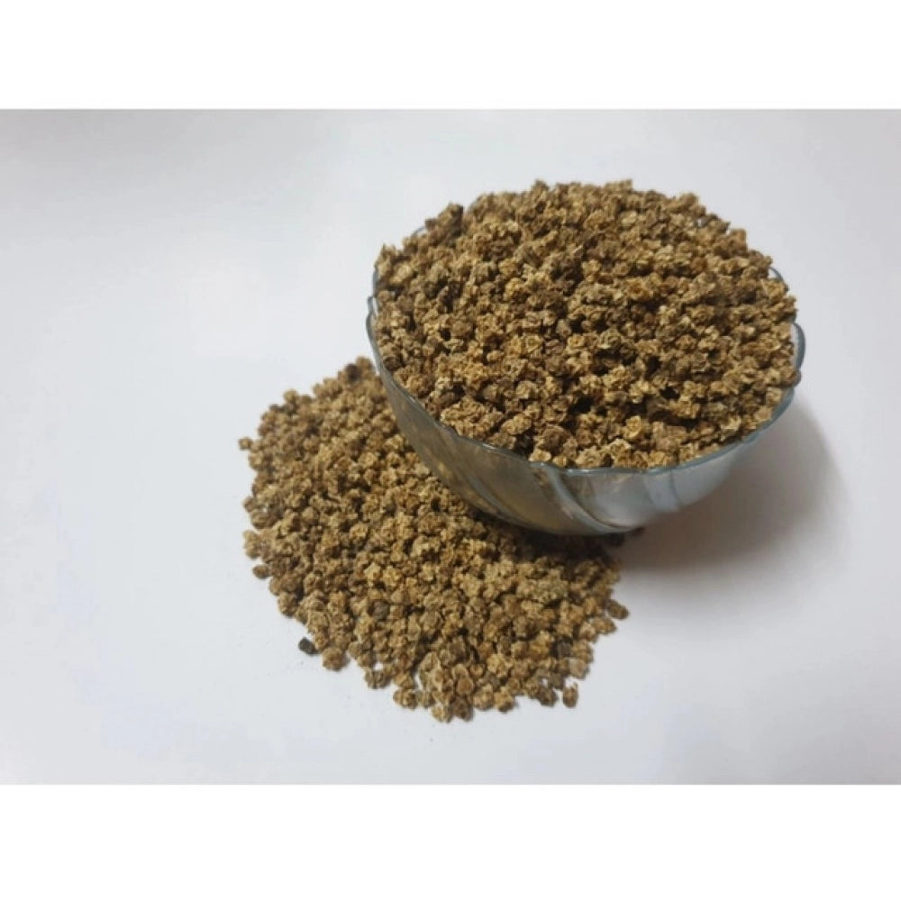 Beetroot Microgreen Seeds – Easy to Grow, Rich in Nutrients