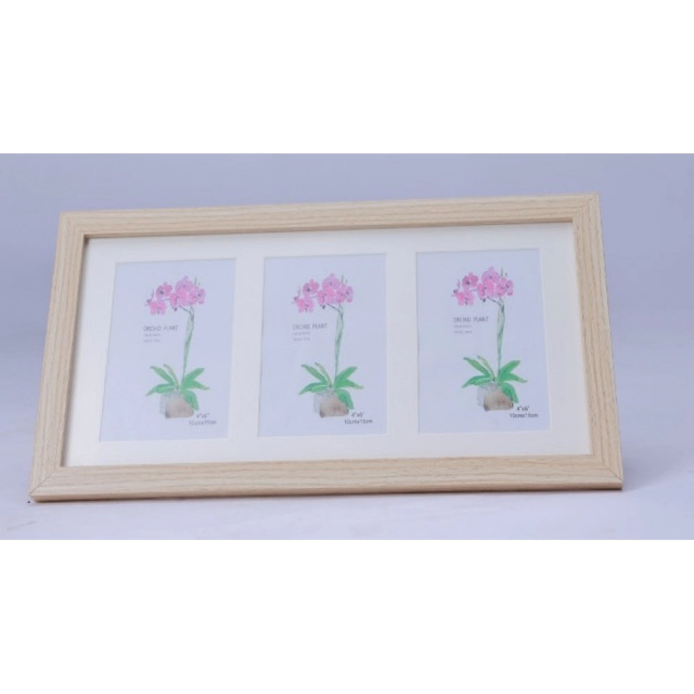 Acrylic Cactus Image Frame (Multicolor)