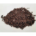 Sango Radish Microgreen Seeds – Quick Harvest, Suitable for Any Space