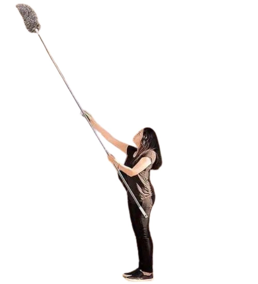 Generic Fan Duster (Grey)
