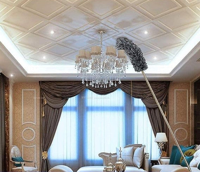 Generic Fan Duster (Grey)
