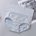 Women's High-Waisted Briefs Free Size (Multicolor)