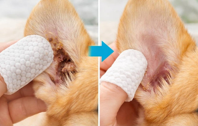 Generic Pet Ear Cleaning Wipes (White)