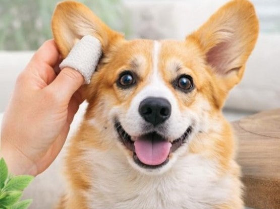 Generic Pet Ear Cleaning Wipes (White)