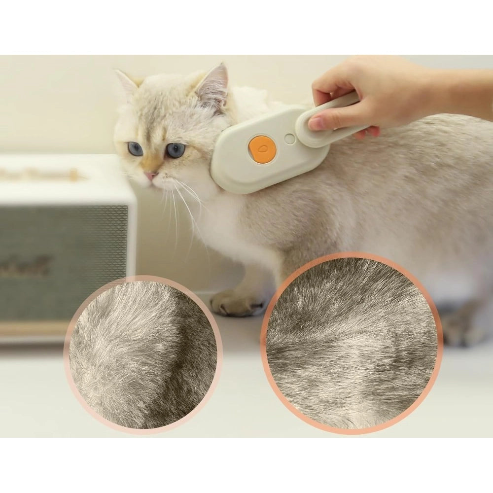 Pack of 2 Pet Brush (Multicolor)