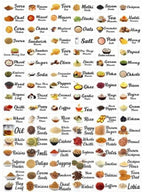 Pack of 2 Kitchen Masala Sticker (Multicolor)