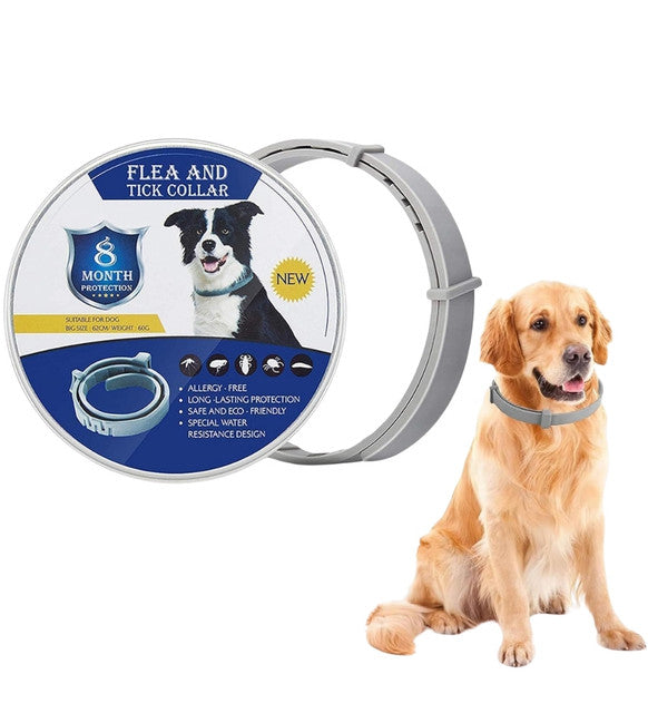 Generic Silicone Dog Flea Collar (Grey)