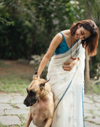 Women's Linen Printed Saree With Unstitched Blouse - 5.5 Mtr (White-Blue)