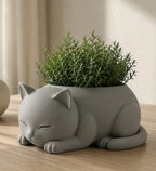 Plastic Adorable Sleeping Cat Planter (Only Planter) (Grey)
