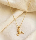 Women's Pack of 2 Brass Gold Plated Hummingbird Pendant Necklace (Gold)-PID68256